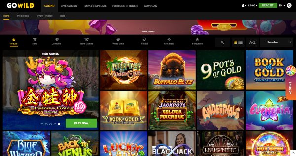 GoWild Casino Games GoWild Casino Games